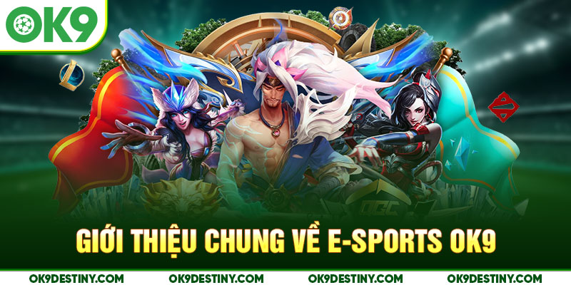 Giới thiệu chung về E-sports OK9