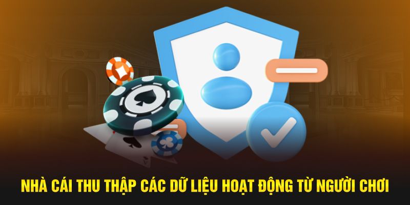 Nhà cái thu thập các dữ liệu hoạt động từ người chơi